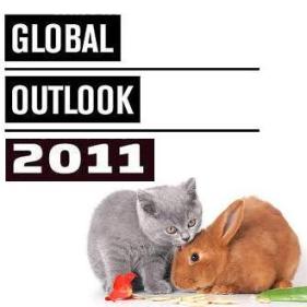 Stock In Focus: Глобальная стратегия 2011: сохранение мировых дисбалансов