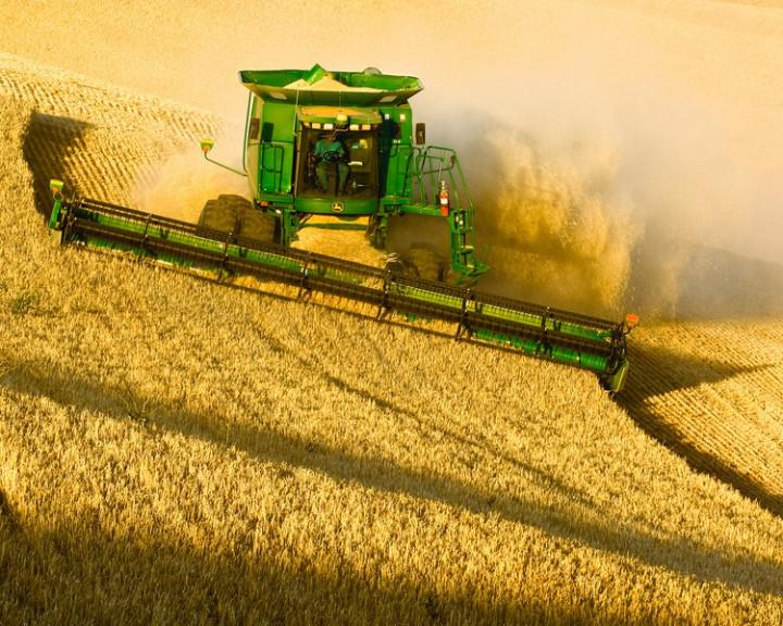 Крым начал экспортировать зерновые в Саудовскую Аравию и на Кипр