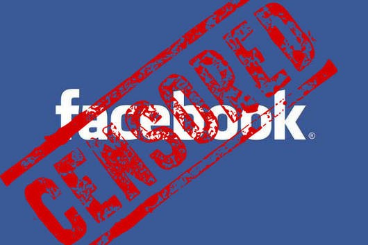 Борьба с Новороссией перекинулась в Фейсбук