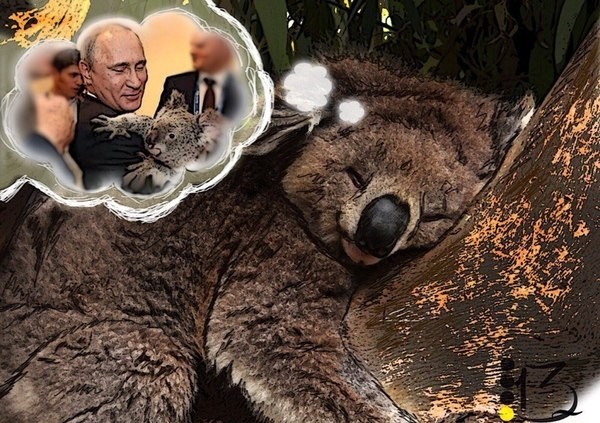 Владимир Путин и коала. Итоги G20