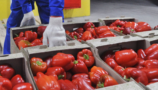 В Россию не пустили двести тонн овощей из Белоруссии и масло с Украины