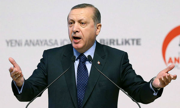В Германии возбудили дело против политика за цитирование стиха про Эрдогана