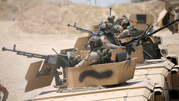 Иракские военные вошли в захваченный ИГ город Эль-Фаллуджа