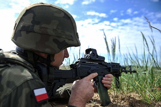 Только Польша отправляет для участия в натовских учениях порядка 12 тысяч солдат