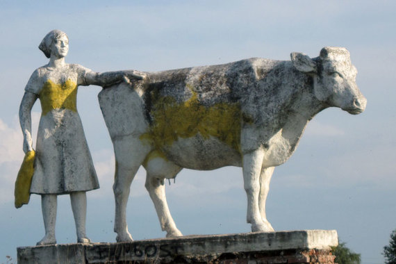 Редкие скоты: Украина попала в мясной цугцванг