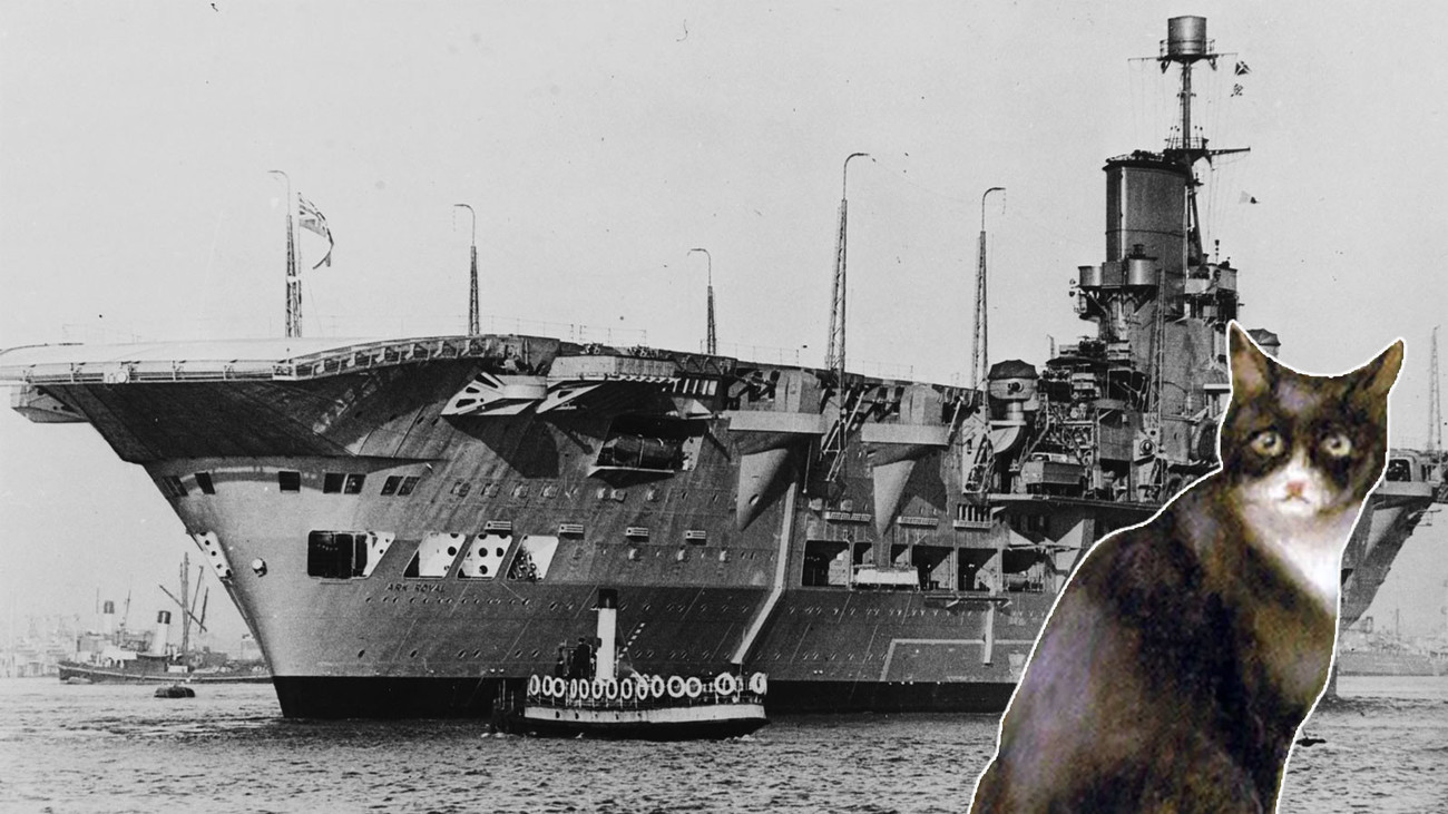 Непотопляемый Сэм: кот, "потопивший" линкор, три эсминца и авианосец