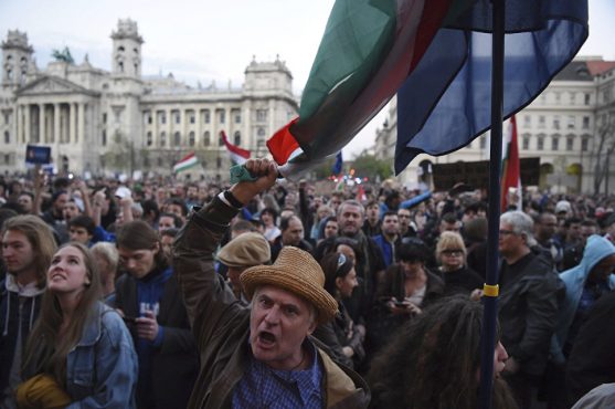 Протесты против новой системы образования в Венгрии. Апрель 2017 года