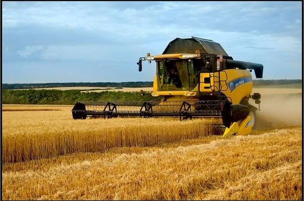 В Крыму урожай ранней зерновой группы в этом году уже превысил прошлогодние показатели в 2,5 разаВ Крыму урожай ранней зерновой группы в этом году уже превысил прошлогодние показатели в 2,5 раза