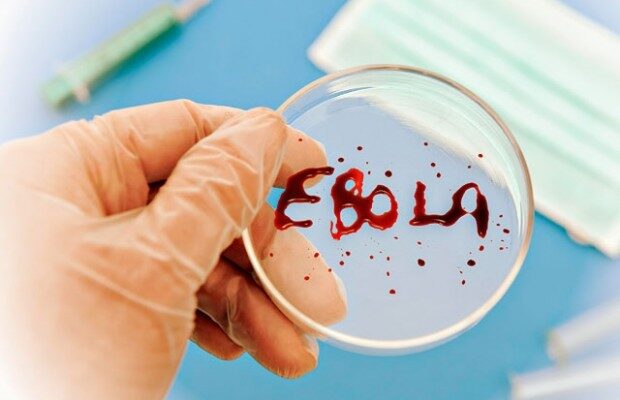 Небылицы о вирусе Эбола: волшебные лекарства и биологическое оружие
