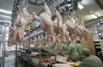 В Россию будет запрещено ввозить мясо птицы из США