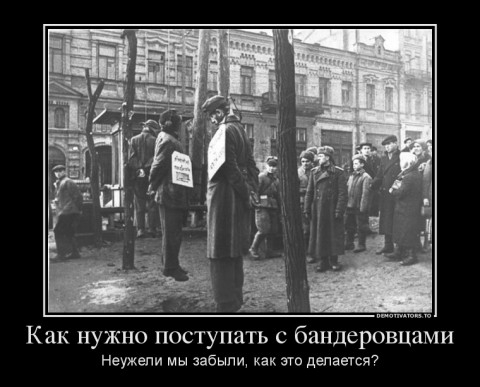 СДОХ БАНДЕРА
