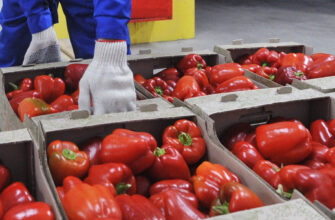 Из Крыма на Украину возвращено более 700 тонн овощей и фруктов