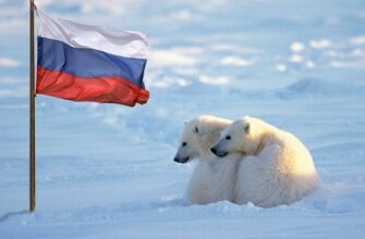 США и Россия столкнутся лбами в Арктике