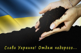 Последнее достояние страны: кому достанутся украинские черноземы?