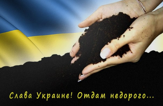 Последнее достояние страны: кому достанутся украинские черноземы?