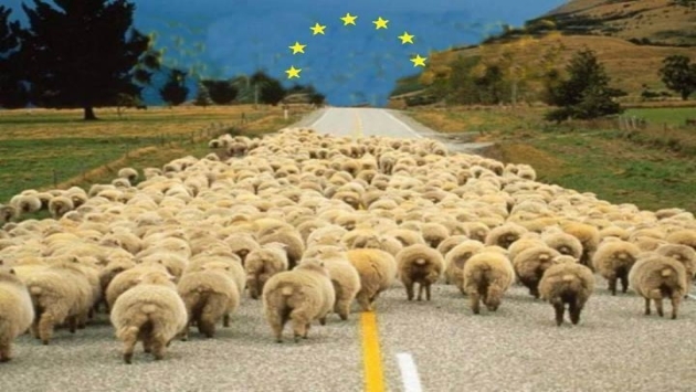 Новая колония Европы: Украина превратилась в сырьевой придаток экономики ЕС