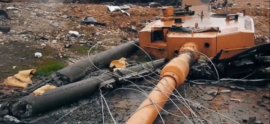 Дряблые мышцы турецкой армии: Геноцид «немецких кошек» продолжается