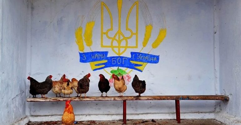 Уже ничего смешного: Украина всё же становится аграрной сверхдержавой