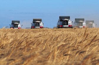 Россия побьет рекорд СССР по урожаю зерна