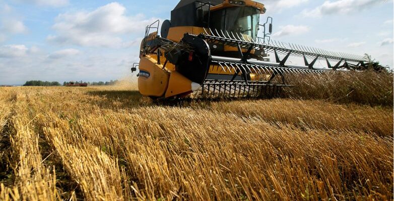 Наш ответ на санкции. Как российская пшеница разоряет американских фермеров