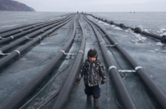 «Должно быть стыдно»: китайцы готовятся выкачивать байкальскую воду