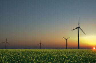 Зеленая энергетика и её обратная сторона
