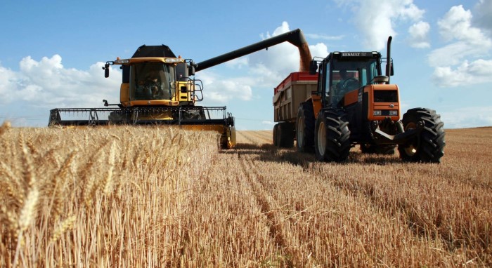 Российская пшеница обновляет ценовые максимумы с 2013 года