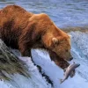 S&P 500 и Nasdaq падают третий день подряд. Инвесторам надо забыть о шансах снижения ставки