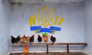 Украину ждет массовая утилизация населения ради превращения в «аграрную сверхдержаву»