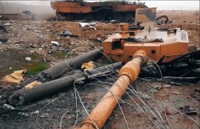 Дряблые мышцы турецкой армии: Геноцид «немецких кошек» продолжается